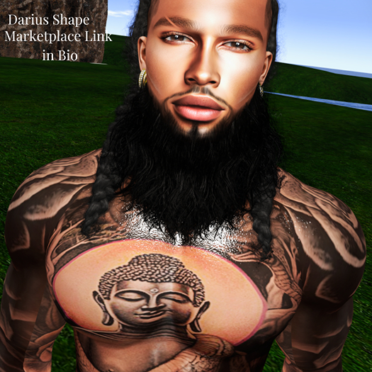 Darius Shape| Luka 3.1