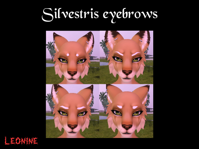{L} Silvestris Eyebrows