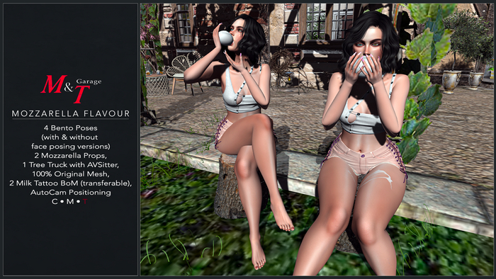 M&T Mozzarella Flavour Bento Poses