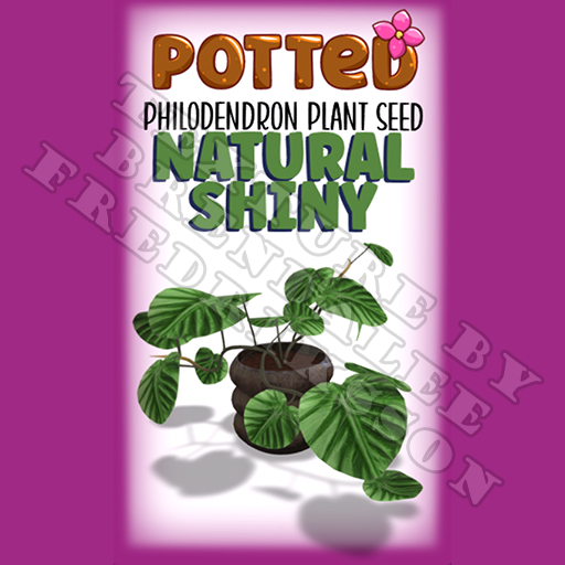 Potted: Philodendron Plant Seed: Natural Shiny (ACTUAL PLANT SEED) - Retired!
