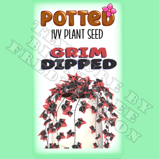 Potted: Ivy Plant Seed: Grim Dipped (ACTUAL PLANT SEED) - Retired!