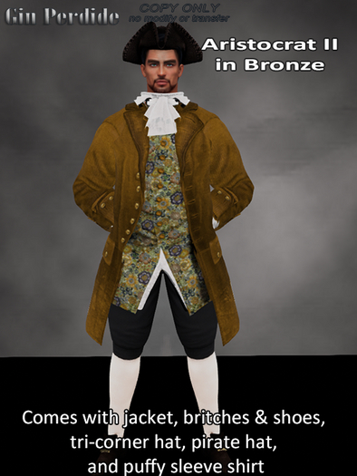 Aristocrat Outfit Bronze 