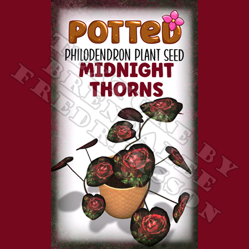 Potted: Philodendron Plant Seed: Midnight Thorns (ACTUAL PLANT SEED)