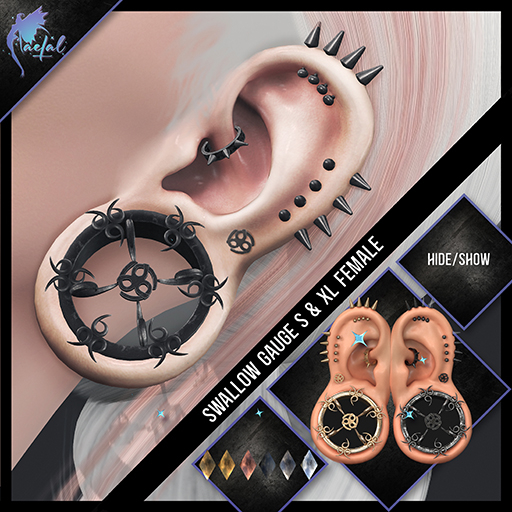 FaeTal- Ear 18 - Swallow S & XL Female