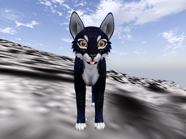 NOODLEMOD - Deep Space Cat  [BOXED] FREEBIE