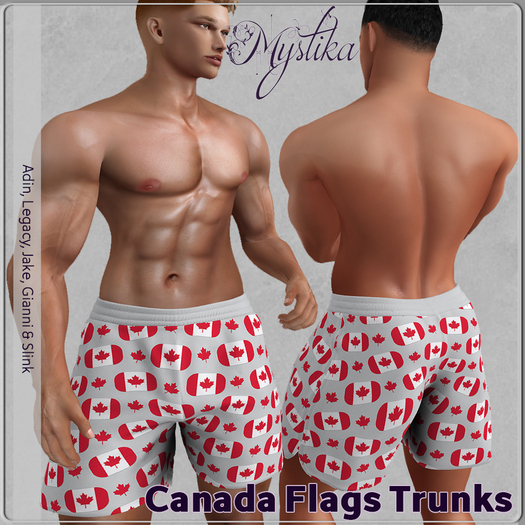 ~Mystika~ Canada Flags Trunks