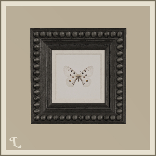 Theory . Perl Frame . A