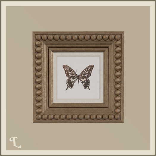 Theory . Perl Frame . C