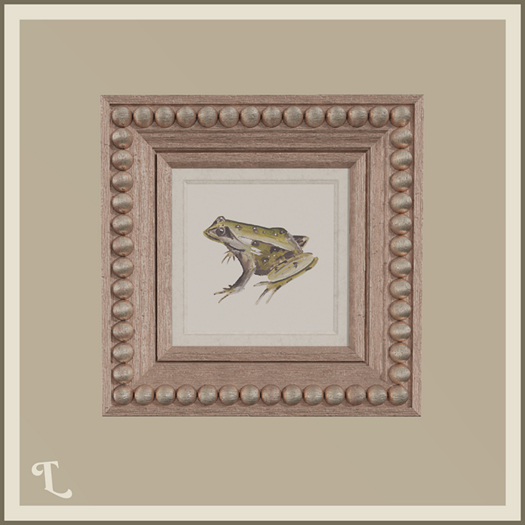Theory . Perl Frame . D