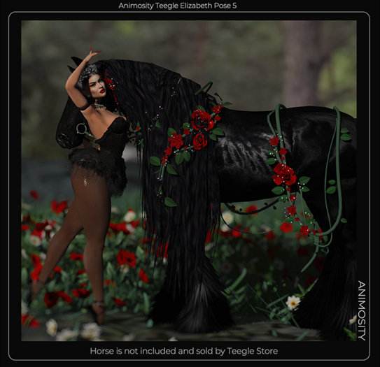 Animosity - Yekaterina (Teegle Pose) 4 