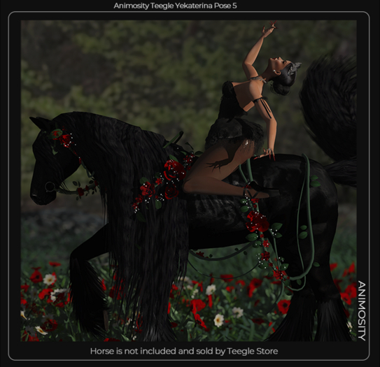 Animosity - Yekaterina (Teegle Pose) 5 