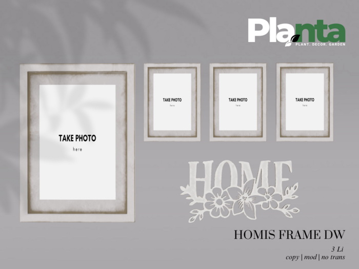 Planta - Homis Frame DW