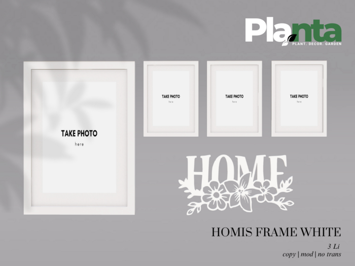 Planta - Homis Frame White