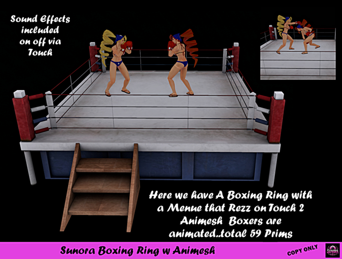Sunora Boxing Ring w Animesh