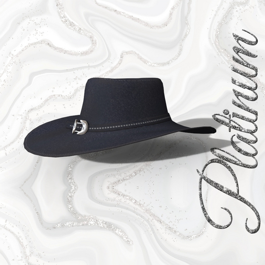 Navy Hat