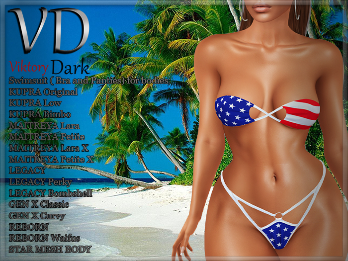 VD #037 Swimsuit American Flag Add me