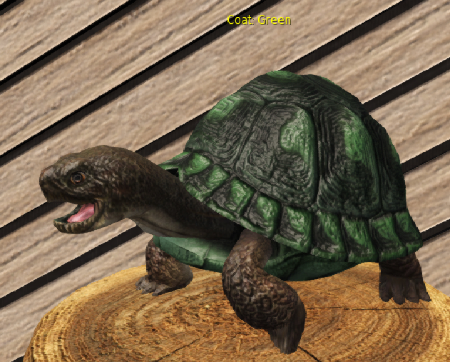 Foxtrot Box Turtle Green Large Male Breedable