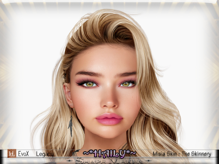 ++SHAPE MAKER++*HAILY SHAPE*