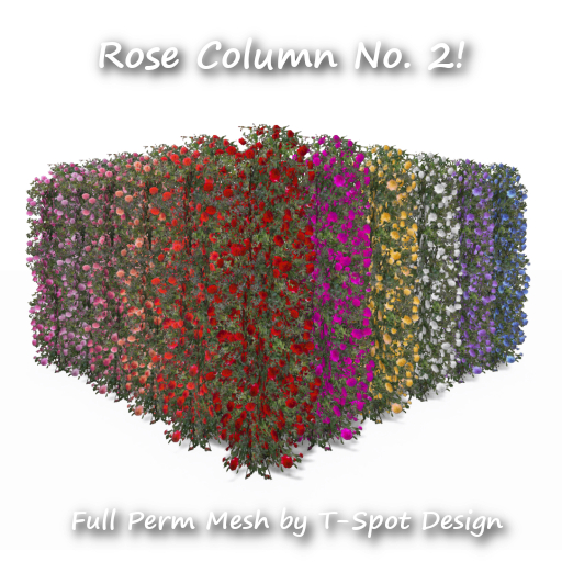 T-Spot Mesh - Rose Column No. 2 - FP - LI=0.5