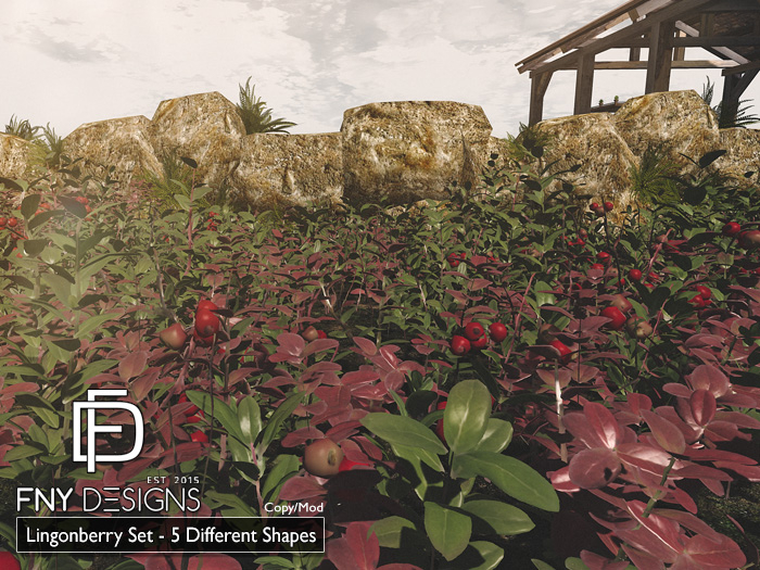 :FNY: Designs - Lingonberry Set