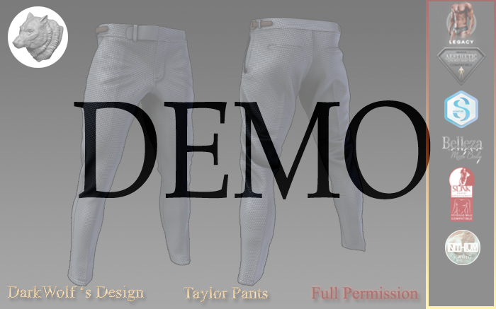 Taylor Pants Men Demo