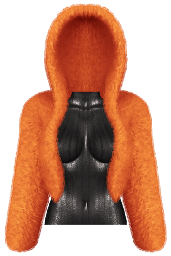 Eaun Fur Jacket — Tang