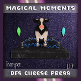 DFS Cheese Press - Magical Moments