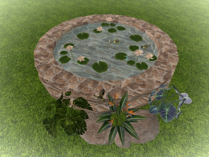 Stone Fish Pond, Humming-birds, Rocks & Plants 12 LI - Rez-Box