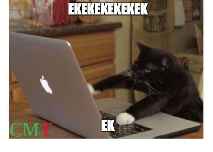ekekeke typer 1.0 - chirping cat sounds typer!