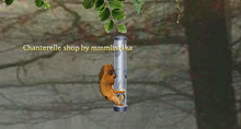 12-Mutresse-Fluffy Squirrels