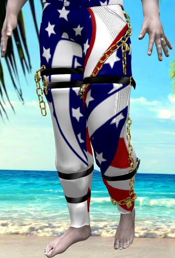 Americana Pants