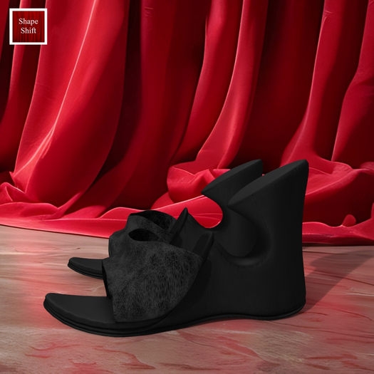 Black Shoes