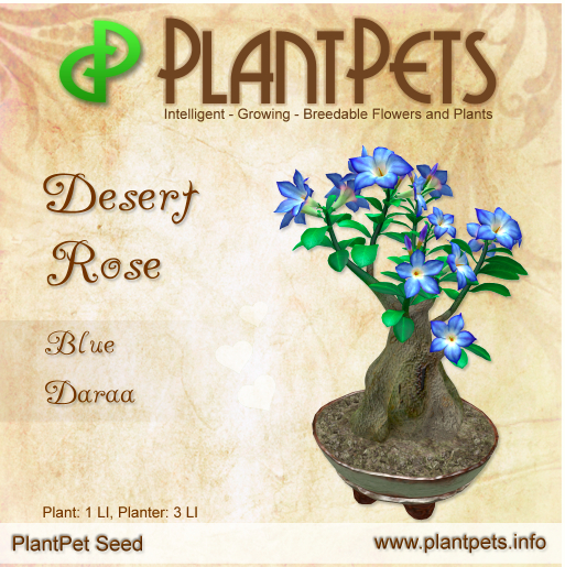 PlantPet Seed [Desert Rose *Blue Daraa*]
