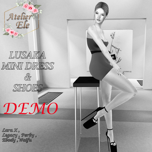 {AE} [ DEMO ]   LUSAKA MINI DRESS