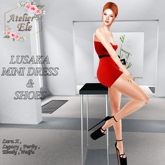 {AE}   LUSAKA MINI DRESS