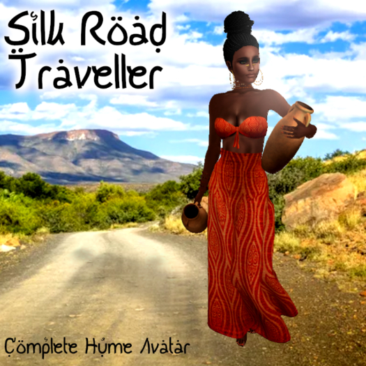 Silk Road Traveller