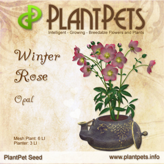 PlantPet Seed [Winter Rose *Opal*]