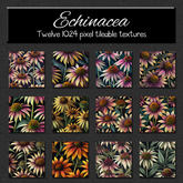 *Wallflowers* Echinacea