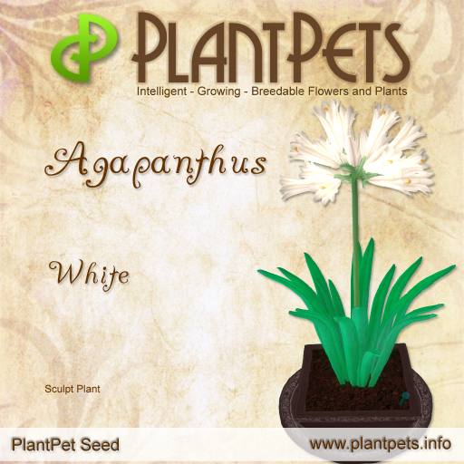 PlantPet Seed [Agapanthus *White*]