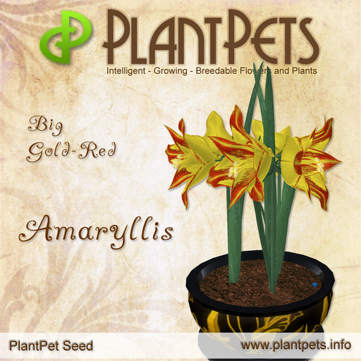 PlantPet Seed [Amaryllis *Big Gold-Red*]