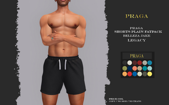 Praga Shorts Plain - FATPACK