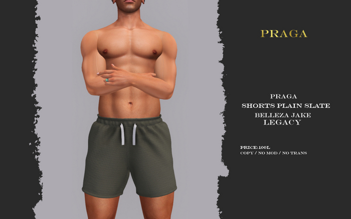 Praga Shorts - Slate