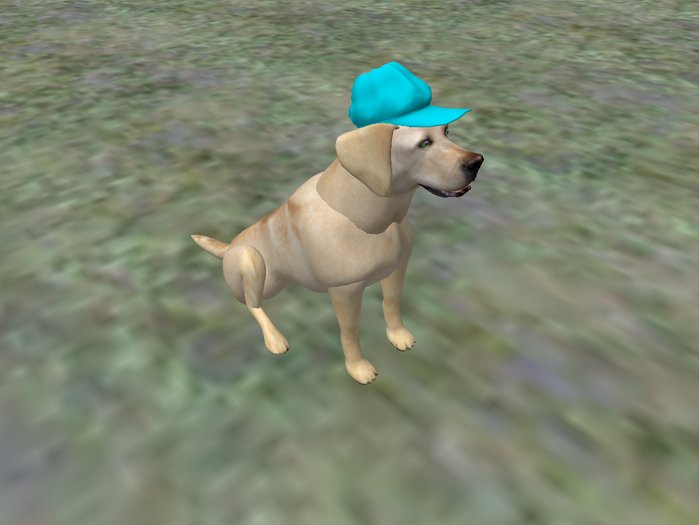 BB Lab Baseball hat Labrador -light blue