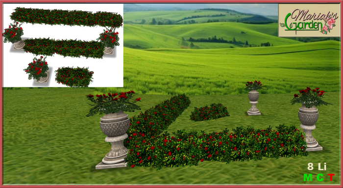 !MG! - Wedding Hedge Red Roses