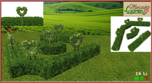 !MG! - Wedding Hedge Heart Topiary