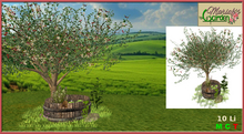 !MG! - Tree Decoration with Pond