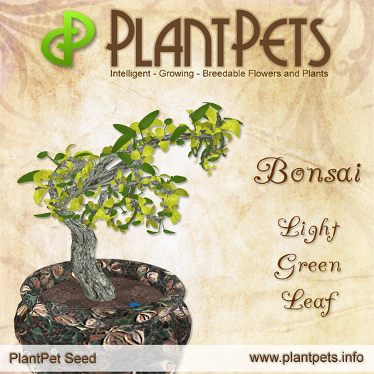 PlantPet Seed [Bonsai *Light Green Leaf*]
