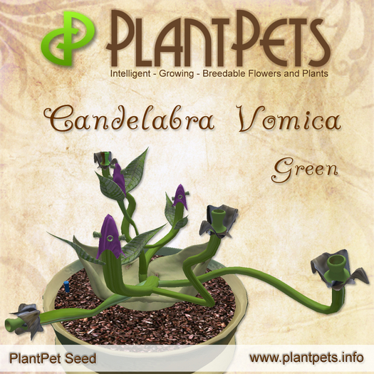 PlantPet Seed [Candelabra Vomica *Green*]