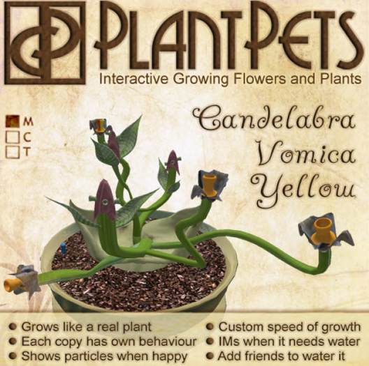 PlantPet Seed [Candelabra Vomica *Yellow*]