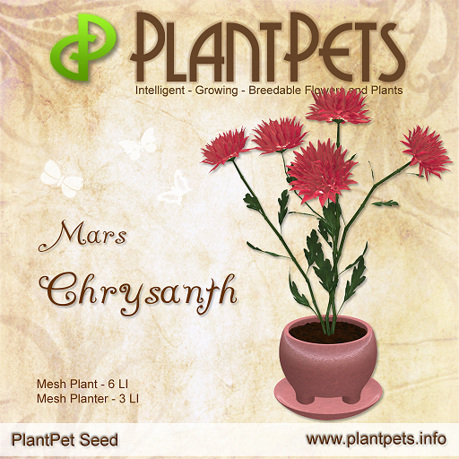 PlantPet Seed [Chrysanth *Mars*]
